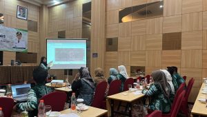 Kepala Bidang Penyediaan, Pengembangan Prasarana dan Penyuluhan Pertanian DKP3 Balangan, Yulianti saat memaparkan mengenai aplikasi SI-PELITA (foto: MC Dumai)