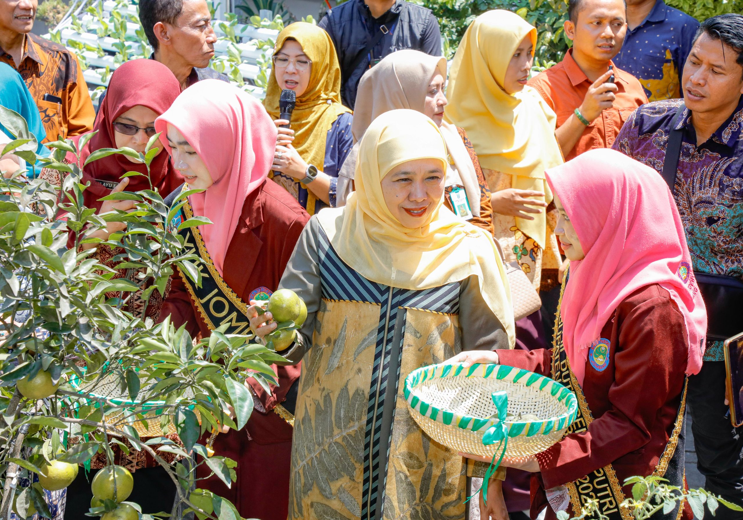 Khofifah dan Menteri PPPA Saksikan Produktivitas SIKAP Jombang, Panen Ikan-Sayur dan Tanam Jeruk Madu