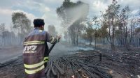 Penanganan karhutla Kalsel oleh tim pemadam
